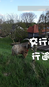交行逾期后协商个性化分期后又逾期了-交行逾期后协商个性化分期后又逾期了怎么办