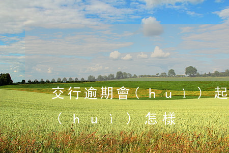 交行逾期會(huì)起訴嗎(被交行訴訟會(huì)怎樣)