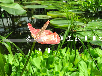 交行逾期肯定起訴嗎(被交行訴訟會(huì)怎樣)