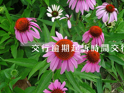 交行逾期起訴時間(交行逾期起訴時間)