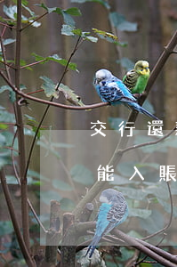 交行還款未入賬算逾期嗎(交行還款當天能不能入賬)