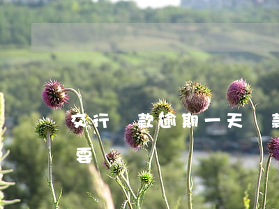 交行還款逾期一天還款(交行過了還款日一天要緊嗎)