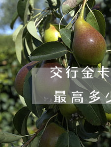 交行金卡信用卡利息(交通銀行信用金卡額度最高多少)