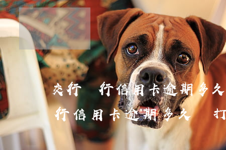 交行銀行信用卡逾期多久會打電話-交行銀行信用卡逾期多久會打電話催收