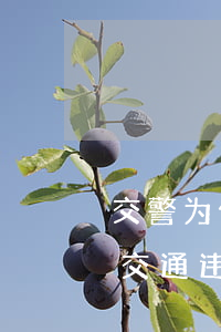 交警为什么取保候审筆事司机(取保候审期间交通违法会被收监吗)
