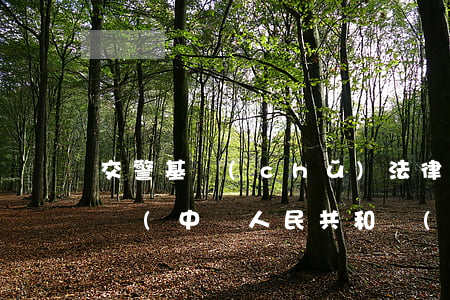 交警基礎(chǔ)法律法規(guī)考試(中華人民共和國(guó)道路交通安全法考試)