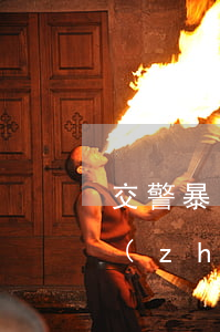 交警暴力執(zhí)法賠多少(交警暴力執(zhí)法去哪里投訴)