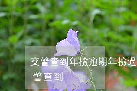 交警查到年檢逾期(年檢過(guò)期被交警查到)