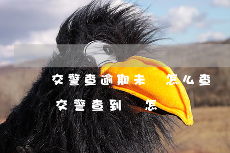 交警查逾期未檢怎么查詢(車輛逾期未年檢被交警查到會怎樣)