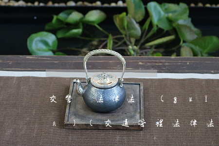 交警隊法律法規(guī)知識培訓(xùn)(交通管理法律法規(guī)基礎(chǔ)知識)