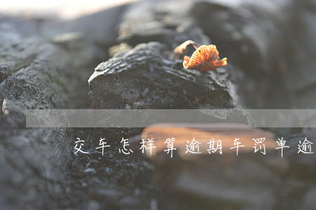 交车怎样算逾期(车罚单逾期缴纳是怎么算的)