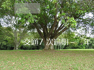 交通7次逾期-兩年內7次逾期