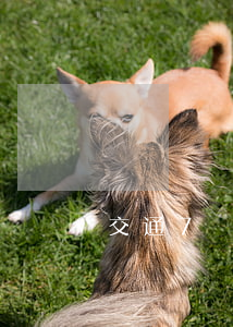 交通7級傷殘能賠償多少錢2020