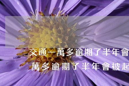 交通一萬多逾期了半年會被起訴嗎-交通一萬多逾期了半年會被起訴嗎知乎