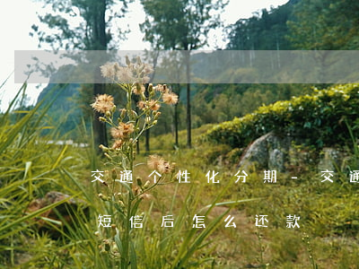 交通个性化分期-交通个性化分期收到成功短信后,怎么还款?