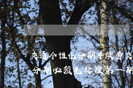 交通个性化分期手续费 交通银行申请个性化分期必须先处理第一期的账单吗?