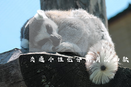 交通个性化分期月没扣款成功