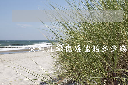 交通九級傷殘能賠多少錢