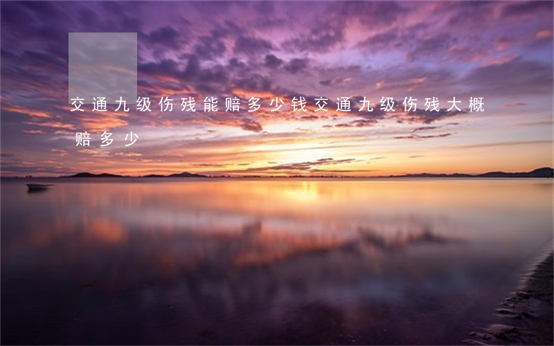 交通九级伤残能赔多少钱(交通九级伤残大概赔多少)