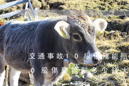 交通事故10級傷殘能賠多少錢(交通事故10級傷殘能賠多少錢大城具)