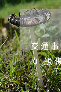 交通事故10級傷殘能賠多少錢(交通事故10級傷殘能賠多少錢山東)