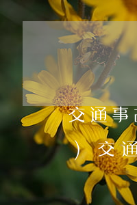 交通事故1級(jí)傷殘判決書(shū)(交通事故民事賠償判決書(shū))