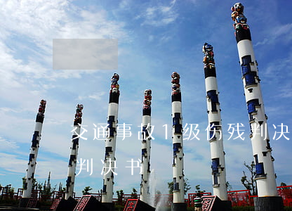 交通事故1级伤残判决书(交通事故民事赔偿判决书)