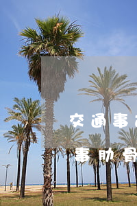 交通事故2根肋骨骨折賠多少錢合理(交通肇事肋骨2根要賠多少錢)