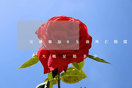 交通事故65歲死亡賠償多少(66歲事故死亡大概是賠多少)