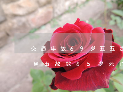交通事故69岁五五责任死亡赔偿款多少(交通事故致65岁死亡的赔偿金)