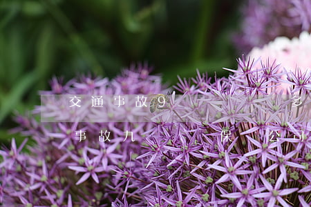 交通事故9級傷殘賠償多少錢2019(交通事故九級傷殘保險公司賠償標準2019)