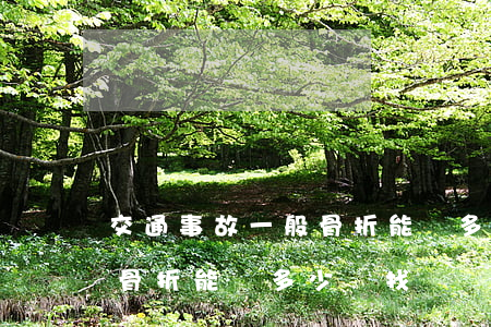 交通事故一般骨折能賠多少錢(交通事故一般骨折能賠多少錢找誰賠)