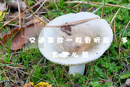 交通事故一般骨折能賠多少錢(交通意外骨折賠償金怎么算)