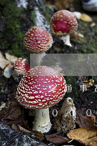 交通事故一萬塊值得起訴對(duì)方?(5000元交通事故值得起訴嗎)