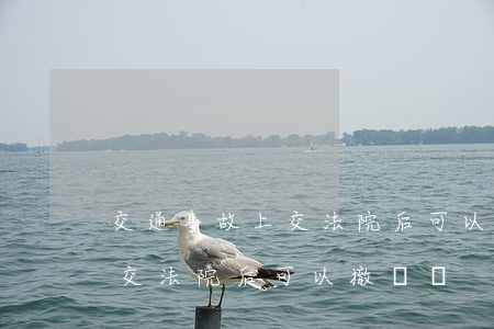 交通事故上交法院后可以撤訴嗎(交通事故上交法院后可以撤訴嗎)