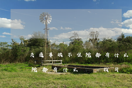 交通事故不住院都有什么賠償(交通事故不住院都有什么賠償找司機還是保險公司)