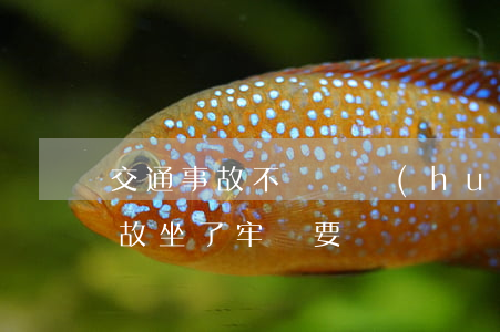 交通事故不賠錢會(huì)坐牢嗎(交通事故坐了牢還要賠錢嗎)