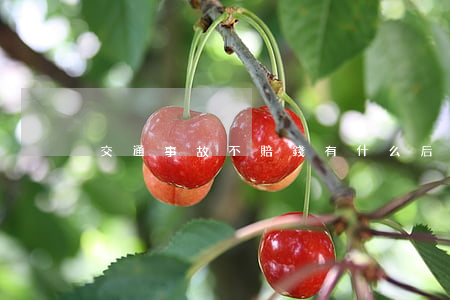 交通事故不賠錢有什么后果