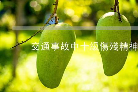 交通事故中十級傷殘精神賠償多少錢