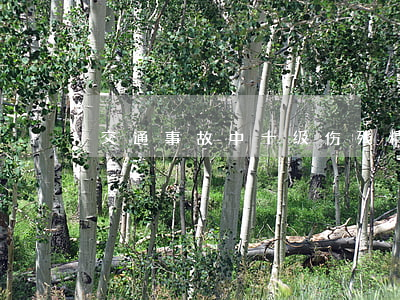交通事故中十级伤残精神赔偿多少钱