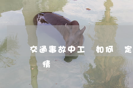 交通事故中工傷如何鑒定(交通事故怎么鑒定傷情)