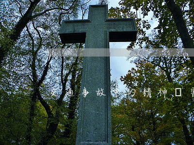交通事故中的精神損害撫慰金