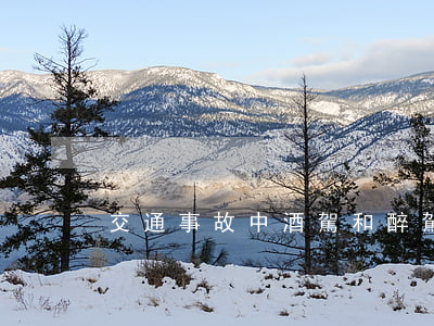 交通事故中酒駕和醉駕的區(qū)別