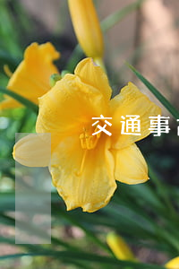交通事故中骨裂算骨折來賠償嗎