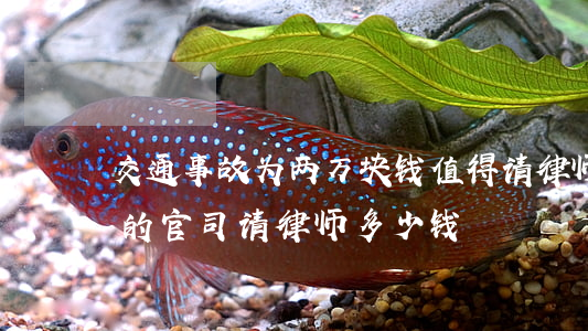 交通事故为两万块钱值得请律师吗(两万块钱的官司请律师多少钱)