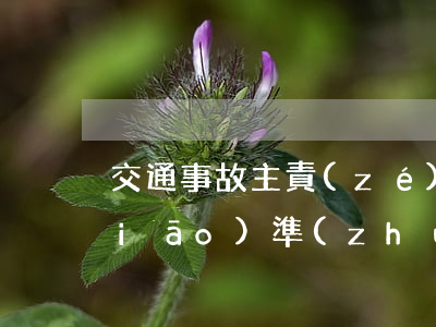 交通事故主責(zé)工傷如何賠償標(biāo)準(zhǔn)(交通事故工傷賠償和肇事方賠償)