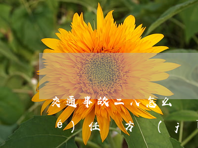 交通事故二八怎么賠償(交通事故二八責(zé)任雙方經(jīng)濟賠償)