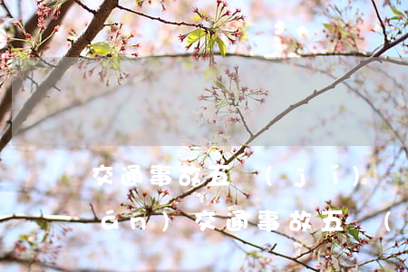交通事故五級(jí)傷殘賠多少錢(qián)(交通事故五級(jí)傷殘一共賠多少)
