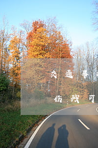 交通事故五级伤残一共赔多少(车祸导致5级伤残可以得多少钱)