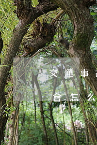 交通事故交警叫認全責(交通事故認全責,交警會怎么處理)
